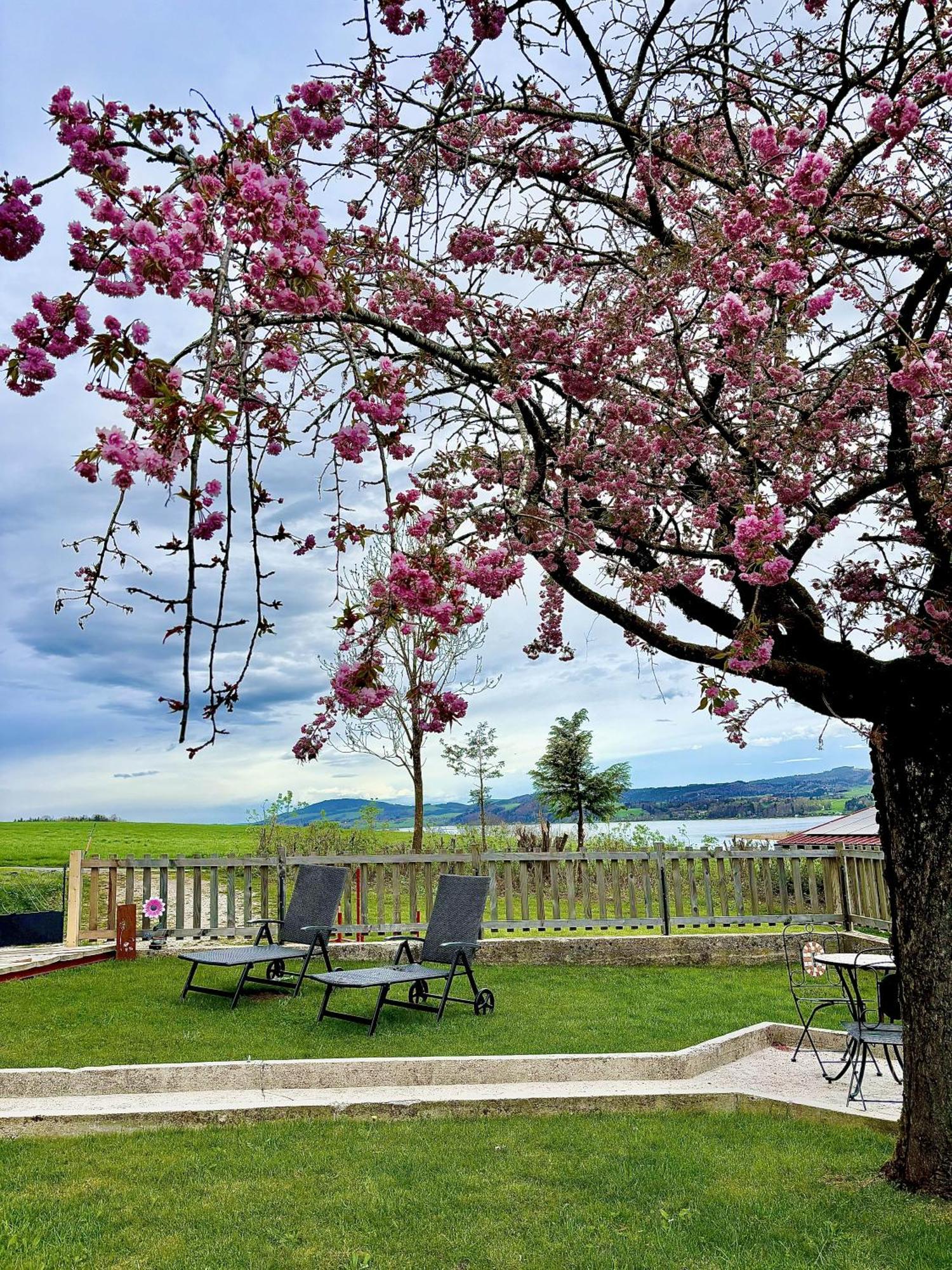 Gaesthaus "Seeblick" Seekirchen am Wallersee Chambre photo